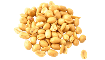 Ядро арахиса